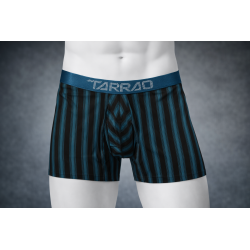 TARRAO - BOXER MICROFIBRA RAYAS VERDE JADE OSCURO 462